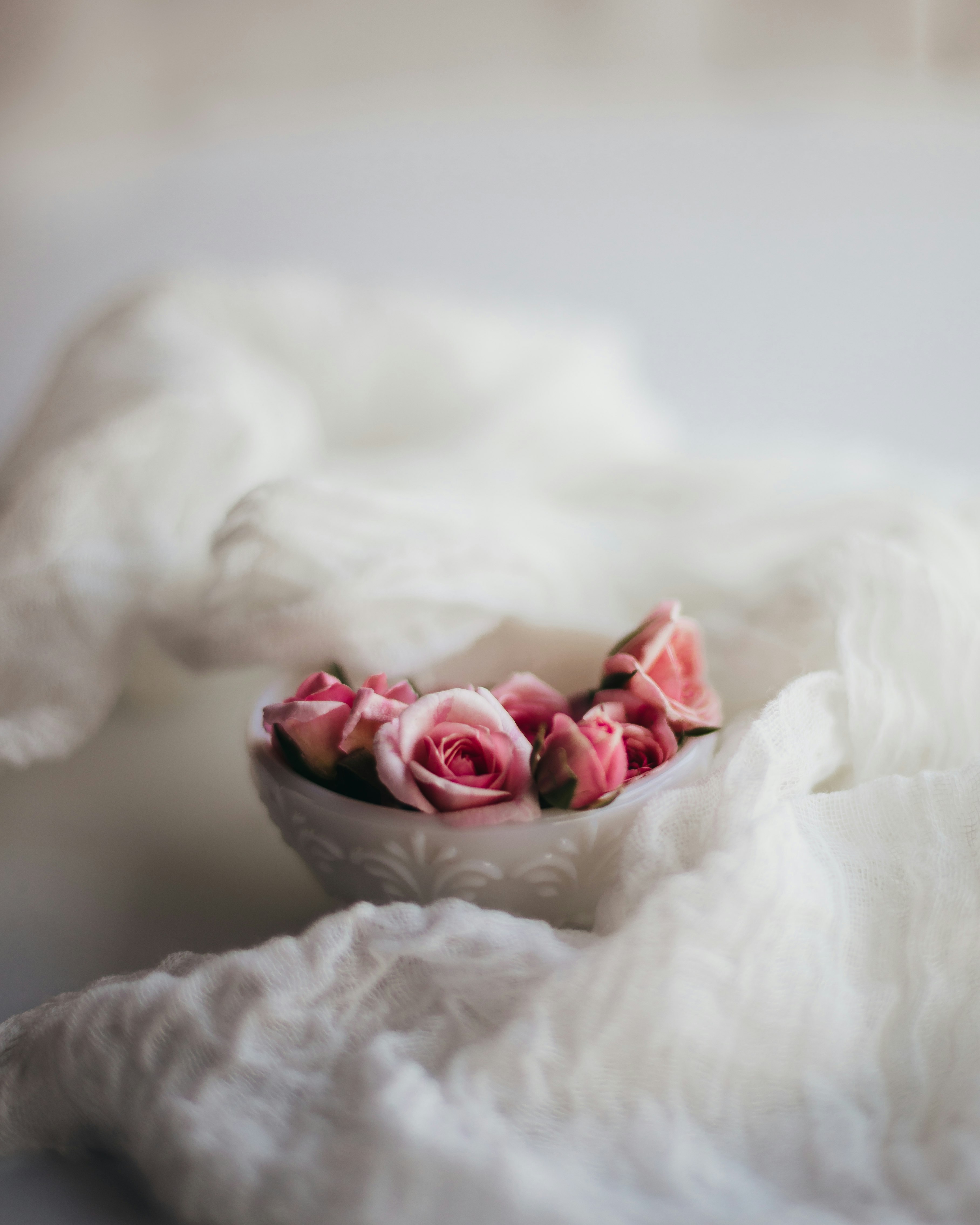 white and red rose on white textile